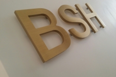 Brass cut out letters BSH