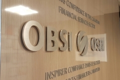 Brushed aluminium 3D letters OBSI