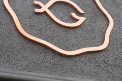Brushed copper 3D cut logo Fish