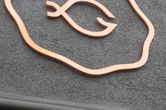 Brushed copper 3D cut logo for Fish