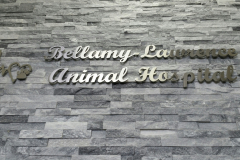 Stainless steel 3D cut letters Animal Clinic
