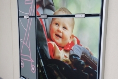 wall graphics buy buy BABY c-