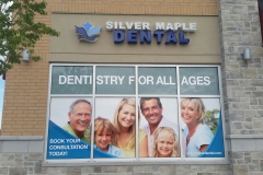 Window vinyl with laminate for Dentistry