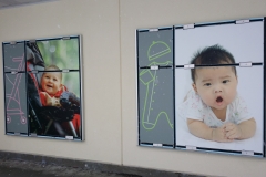 wall graphics buy buy BABY o