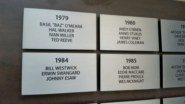 Brushed etched stainless steel plaques Tiger cats stadium