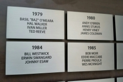 Brushed etched stainless steel plaques Tiger cats stadium