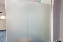 Main entrance frosted vinyl glass wall